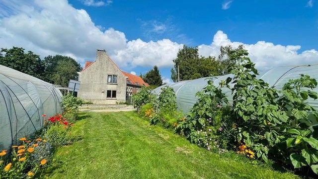 A country house with two greenhouses on either side and a grassy path in the middle under a blue sky.