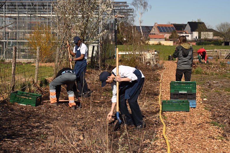 People working in a garden, digging and planting near greenhouses on a sunny day