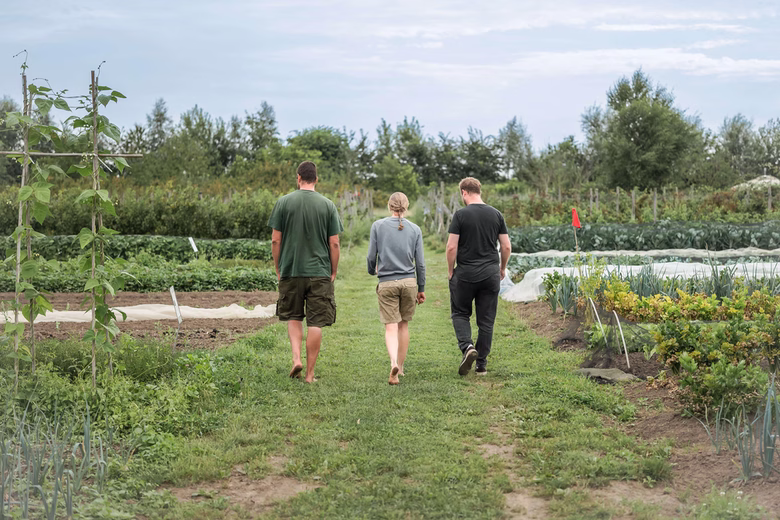 Three people walking barefoot on a grassy path between garden beds with plants and vegetables.