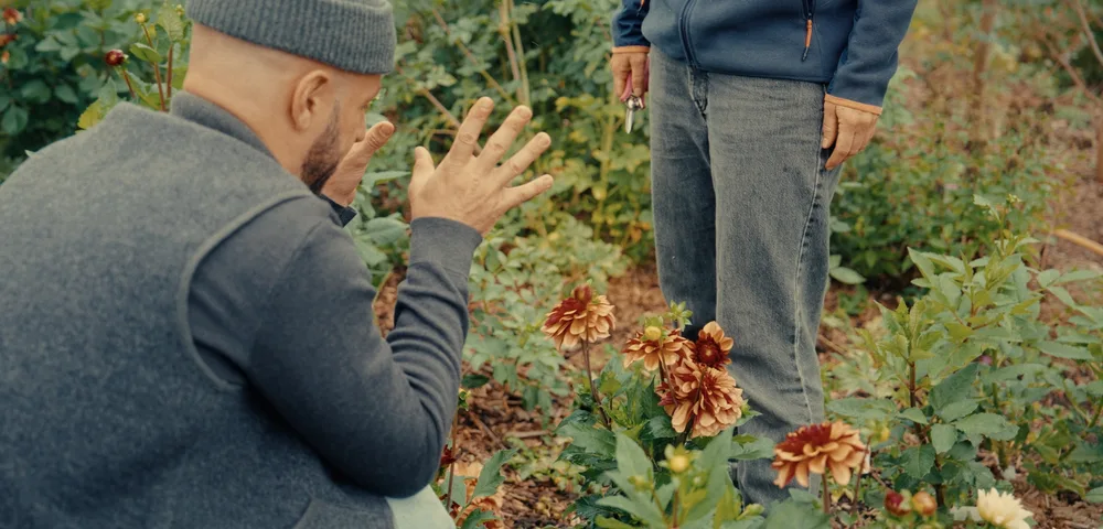 A bearded man in a grey beanie and waistcoat crouches in a garden, raising both hands as he speaks to a standing person holding secateurs. Orange-brown dahlias bloom among green foliage between them.