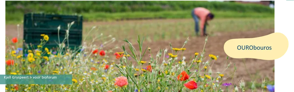 Kleurrijke veldbloemen op de voorgrond, waaronder rode klaprozen en gele bloemen. Op de achtergrond buigt een persoon zich over een akker. Een groene krat staat naast het veld.
