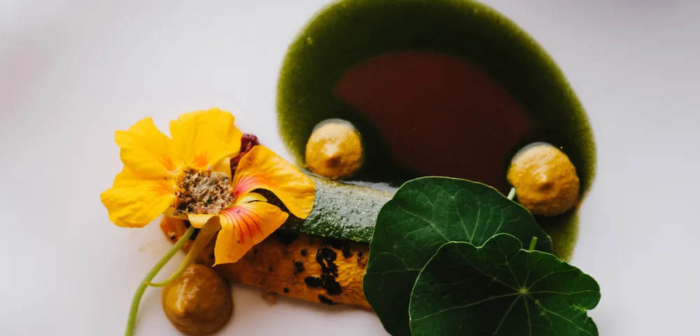 Fine dining plate with a nasturtium flower and leaf, a courgette roll, small golden spheres, brown sauce pool ringed with dark green herb purée, on a white plate.