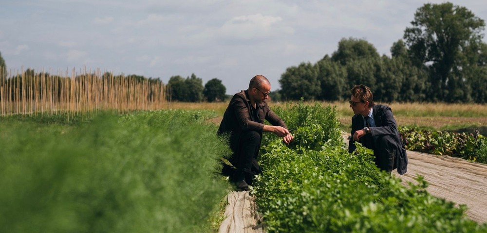 Two men crouching and examining plants in a green field under a partly cloudy sky